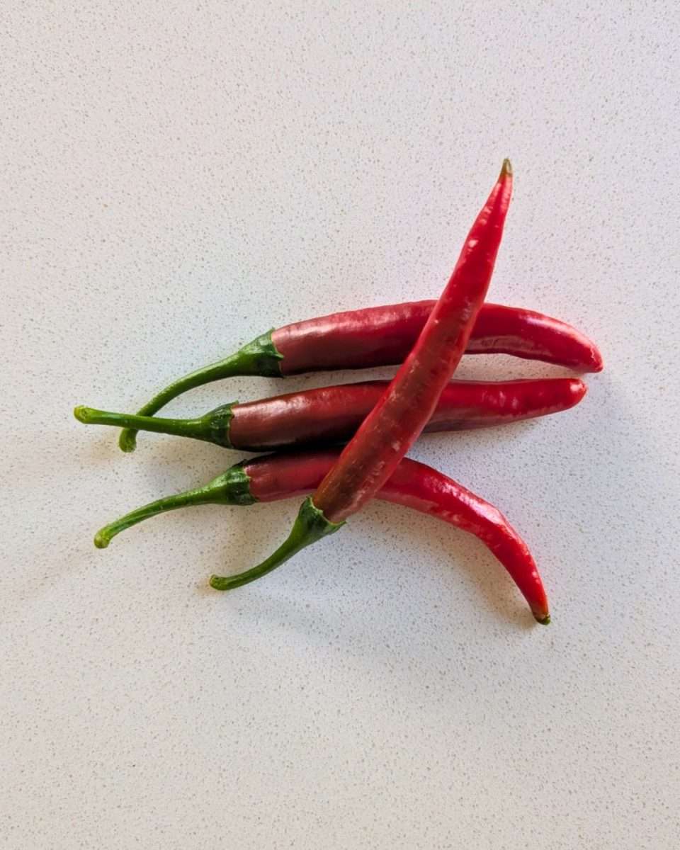 Fresh long red chillis 